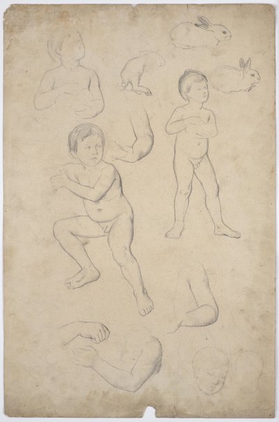Nøgenbilleder og hovedstudier af børn, 2 kaniner af Franz von Matsch