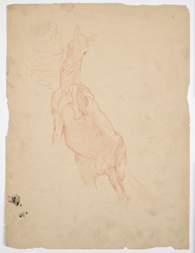 Studier af en opvoksende hest af Franz von Matsch