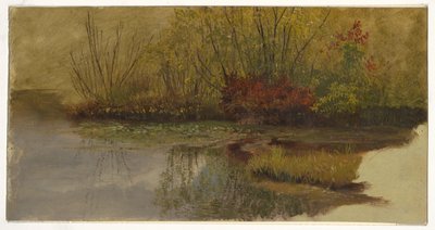 Et Hjørne af en Dam af Frederic Edwin Church