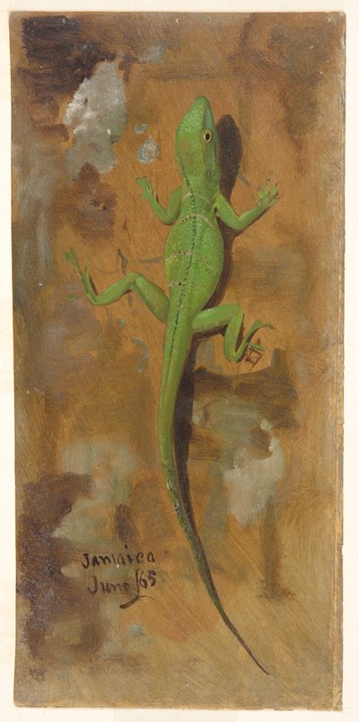 En firben, Jamaica af Frederic Edwin Church