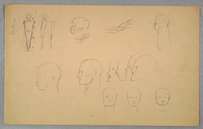 Anatomiske Studier af Frederic Edwin Church