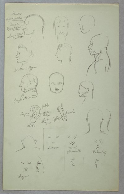 Anatomiske undersøgelser af Frederic Edwin Church