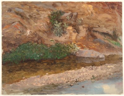 Bank of a Stream af Frederic Edwin Church