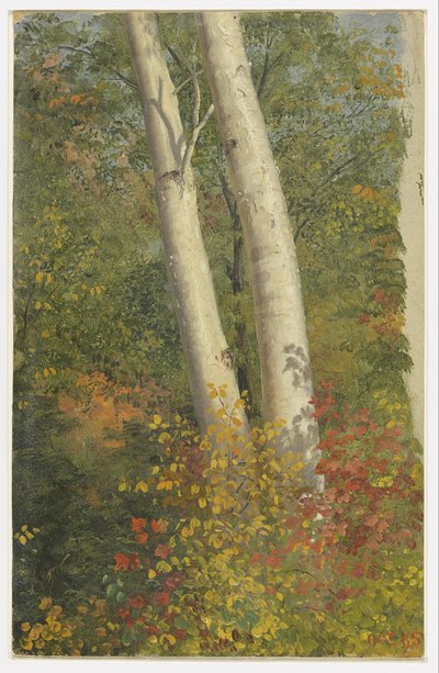 Birketræer i efteråret af Frederic Edwin Church