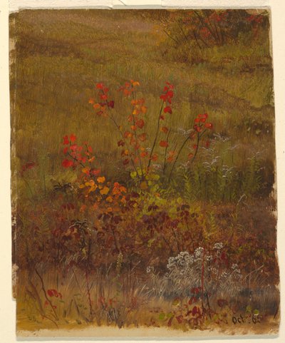 Botaniske Studier af Frederic Edwin Church