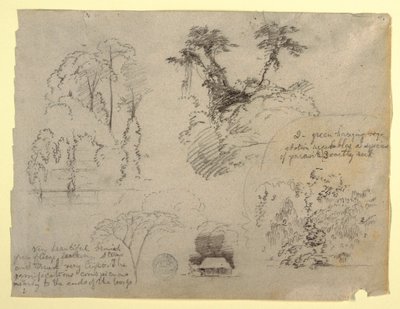 Botaniske studier og et hus, sandsynligvis fra Colombia af Frederic Edwin Church