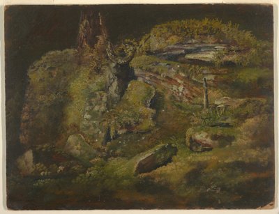 Boulder i skoven af Frederic Edwin Church