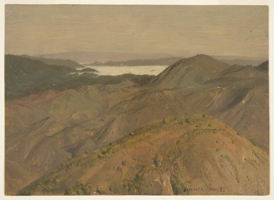 Fjern udsigt over bakketoppe, Jamaica, Vestindien af Frederic Edwin Church
