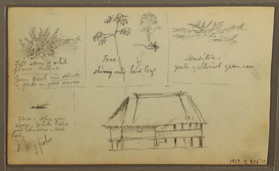 Tegning, et fort; bagside: Botaniske skitser, hus, 1857 af Frederic Edwin Church