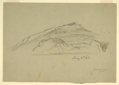 Tegning, Et træ, Bayern, 8. august 1868 af Frederic Edwin Church