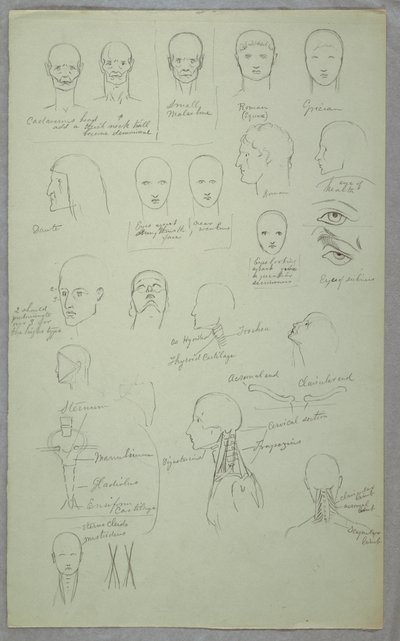 Tegning, anatomiske studier, 1865-70 af Frederic Edwin Church