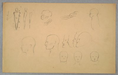 Tegning, anatomiske studier, 1865-70 af Frederic Edwin Church