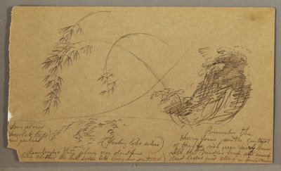 Tegning, Bambuslignende kviste, muligvis 1865-66 af Frederic Edwin Church