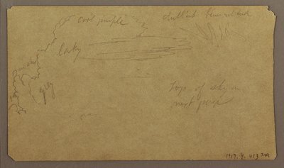 Tegning, botaniske skitser; bagside: Skyer, juli 1865 af Frederic Edwin Church