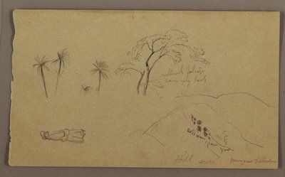 Tegning, botaniske skitser, figur, maj-august 1865 af Frederic Edwin Church