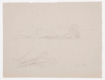 Tegning, Botaniske skitser: landskab, træer ved en strand, september 1876 af Frederic Edwin Church