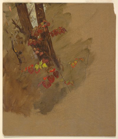 Tegning, botaniske studier, 1860-70 af Frederic Edwin Church