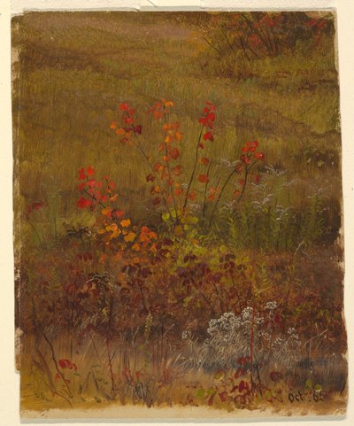 Tegning, Botaniske studier, oktober 1865 af Frederic Edwin Church