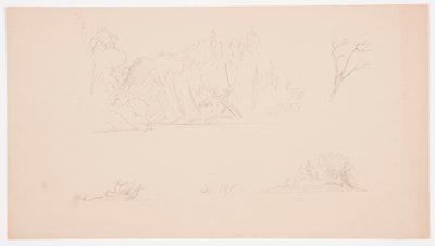 Tegning, Botaniske skitser: træ, træer ved kysten, september 1876 af Frederic Edwin Church