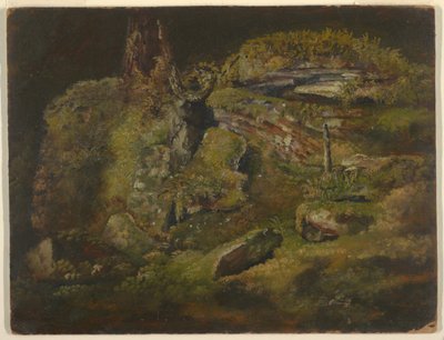 Tegning, kampesten i skoven, ca. 1845 af Frederic Edwin Church