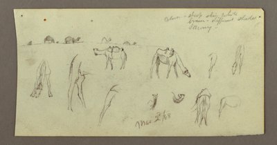 Tegning, Kamelstudier, 2. marts 1868 af Frederic Edwin Church