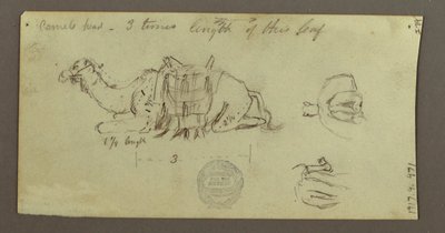 Tegning, Kamelstudier, 2. marts 1868 af Frederic Edwin Church