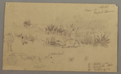 Tegning, Kameler drikker på en bakke, 22. februar, muligvis 1868 af Frederic Edwin Church