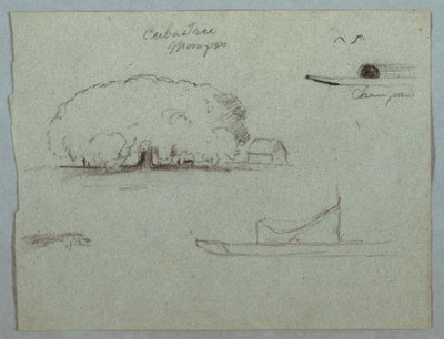 Tegning, Ceiba-træ ved Mompos, Champan-kano, træer og en delvis båd, Rio Magdelena, Colombia, 1853, sandsynligvis maj af Frederic Edwin Church