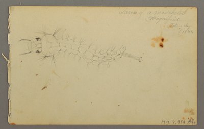 Tegning, studie af skyer, 1844 af Frederic Edwin Church