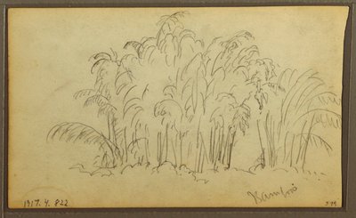 Tegning, køer i landskab; bagside: bambus, 1857 af Frederic Edwin Church