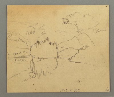 Tegning, Døde træer, plante, muligvis 1868 af Frederic Edwin Church