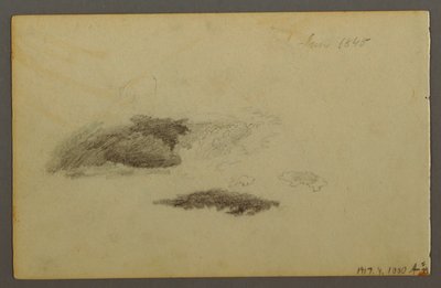 Tegning, Forfalden birk, 1844 af Frederic Edwin Church