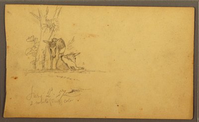Tegning, æsler, 2. juni 1857 af Frederic Edwin Church