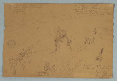 Tegning, Tegning.  Botaniske skitser og skyer nær Quito, Ecuador, 24. juni 1857 af Frederic Edwin Church