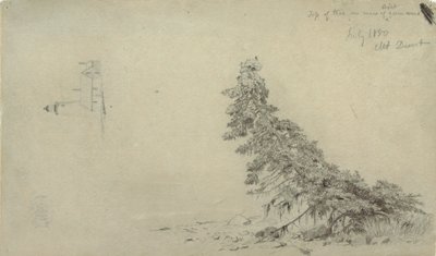 Tegning, Stedsegrønt træ nær kysten med en detalje af fyrtårnet og et hus, Mount Desert, Maine, juli 1850 af Frederic Edwin Church