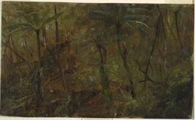 Tegning, I skoven i Jamacia, Vestindien, 1865 af Frederic Edwin Church