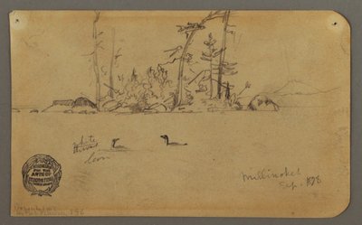 Tegning, Ø, To lomvier, 1878 af Frederic Edwin Church