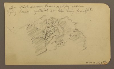 Tegning, Landskab, huse; Bagside: Trætop, februar 1885 af Frederic Edwin Church