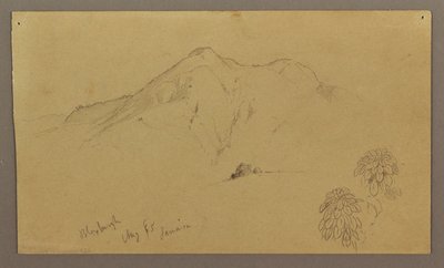 Tegning, landskab, planter, Bloxburgh, august 1865 af Frederic Edwin Church