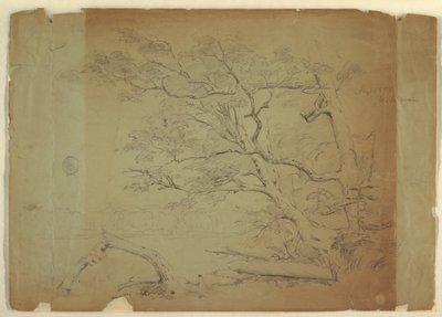 Tegning, Landskab med træer og en strøm [], Grand Manan Island, Canada, september 1851 af Frederic Edwin Church
