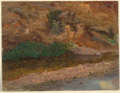 Tegning, kanten af et vandløb, 1860-70 af Frederic Edwin Church