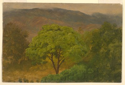 Tegning, bjerglandskab, august 1865 af Frederic Edwin Church