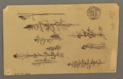 Tegning, Bjergtop, 1877 af Frederic Edwin Church