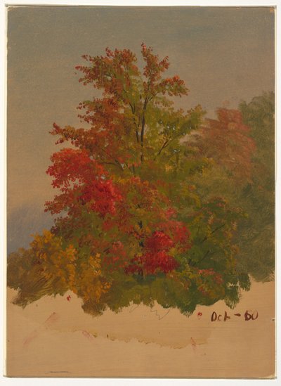 Tegning, Mt. Desert Island , Maine, oktober 1860 af Frederic Edwin Church