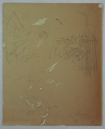 Tegning, naturstudier, Blue Mountains, Jamaica, juli 1865 af Frederic Edwin Church