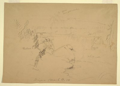 Tegning, Niagara Falls, udsigt fra Goat Island, 19. marts 1856 af Frederic Edwin Church