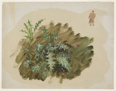 Tegning, Plantestudier, 1865 af Frederic Edwin Church