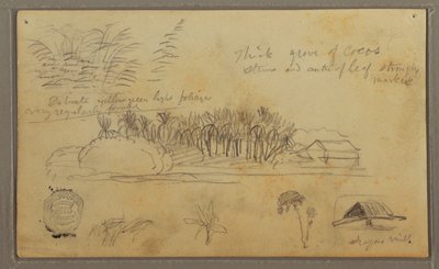 Tegning, Skitser, Ecuador eller Colombia; bagside: Skitser, Ecuador eller Colombia, 1857 af Frederic Edwin Church