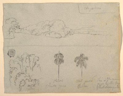 Tegning, Skitser fra Colombia:  Bredden af en flod eller bugt og træer, 1853 af Frederic Edwin Church