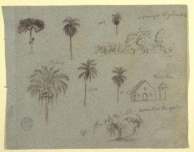 Tegning, Skitser fra Rio Magdalene, Columbia:  Botaniske studier og en kirke, maj 1853 af Frederic Edwin Church